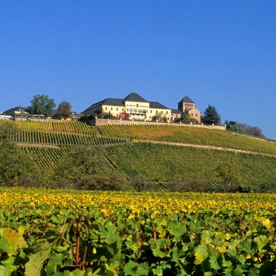Schloss Johannisberg