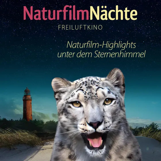 Bild: Darßer NaturfilmFestival