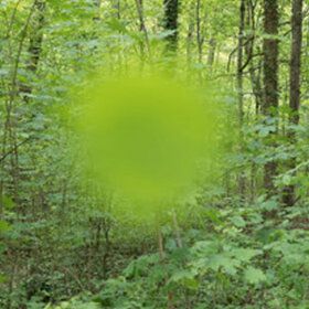 Bild: Cantate Basel Kammerchor