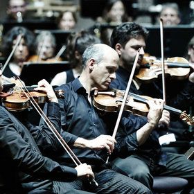 Bild: Weltstars auf der Insel Mainau