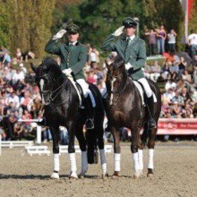 Bild: Hengstparade - Landgestüt Dillenburg