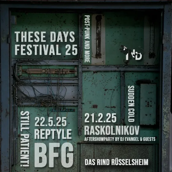 Bild: These Days Festival