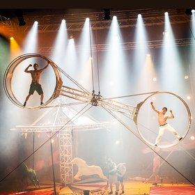 Bild: Race Horse Company