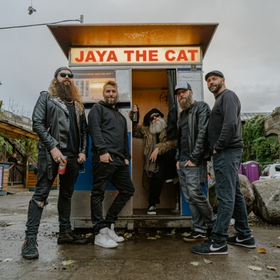 Image Event: Jaya the Cat