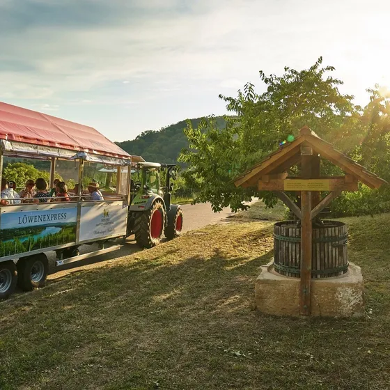 Bild: Löwen-Express bei Wein am See