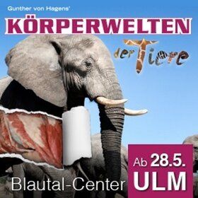 Bild: KÖRPERWELTEN der Tiere Ulm