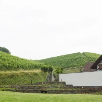 Weingut Andreas Männle