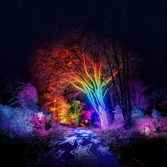 Bild: Christmas Garden Berlin