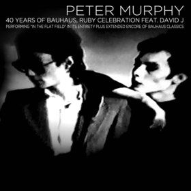 Bild: Peter Murphy