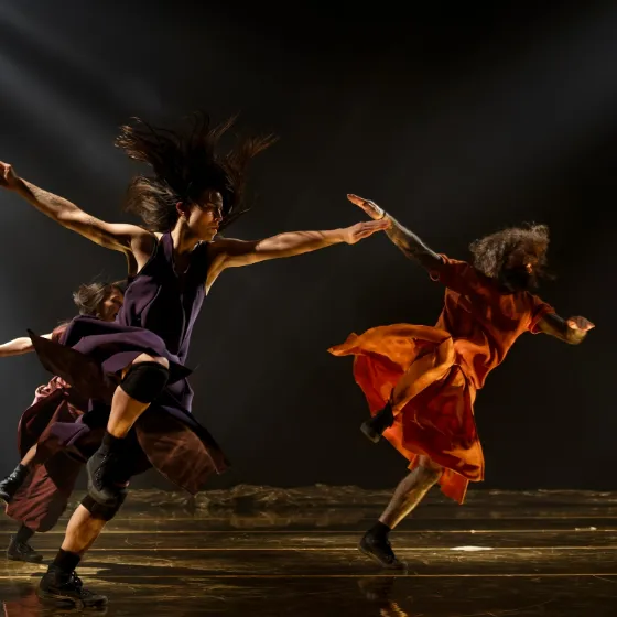 Bild: Compagnie Hervé Koubi