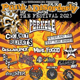Image: Punk & Disorderly Festival