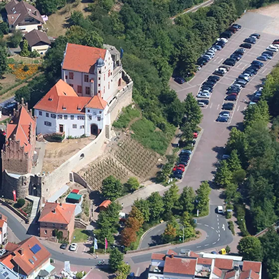 Burg Alzenau