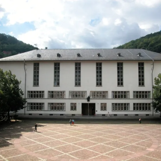 Neue Universität
