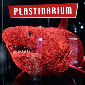 Plastinarium Guben