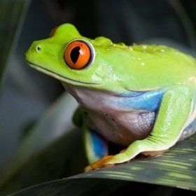 Bild: Biosphäre Potsdam