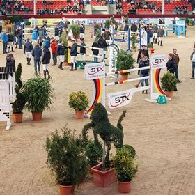 Bild: Internationales Reitturnier Neustadt-Dosse