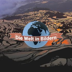 Bild: Die Welt in Bildern