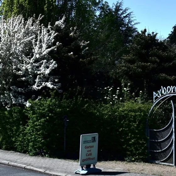 Arboretum Melzingen