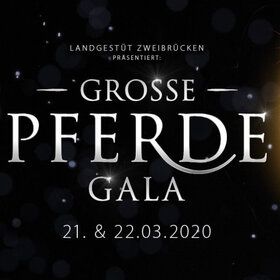 Bild: Große Pferdegala