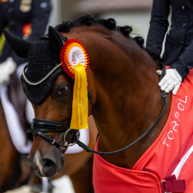 Bild: FEI European Championship