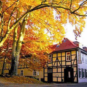 Bild: Internationale Händel-Festspiele Göttingen