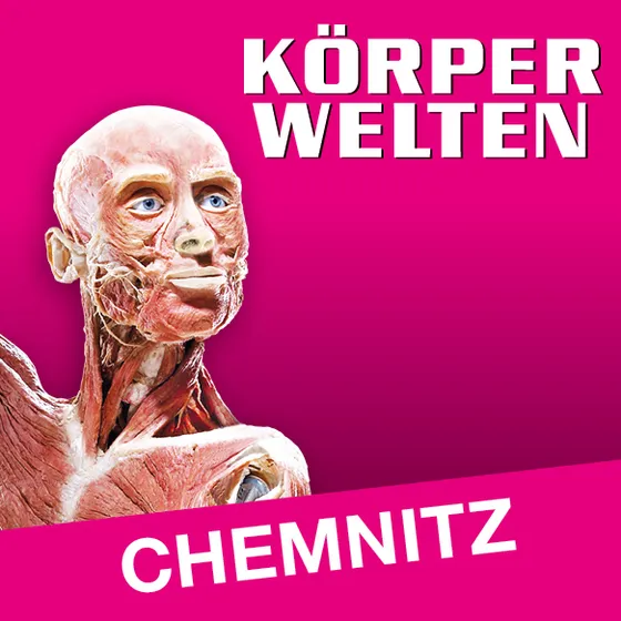 Bild: KÖRPERWELTEN Chemnitz