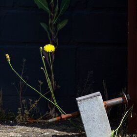 Bild: RadWerk – OpenAir