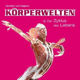 Bild: KÖRPERWELTEN Klagenfurt