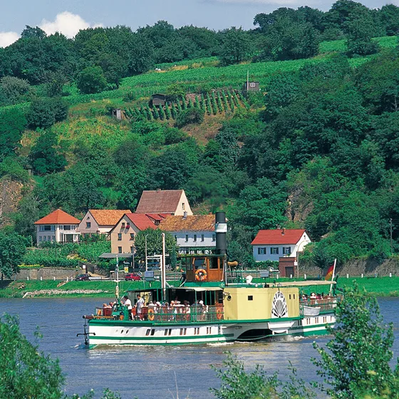 Personendampfer Krippen