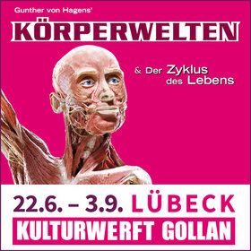 Bild: KÖRPERWELTEN Lübeck