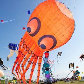 Image: Zirkus-und Drachenfest