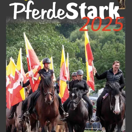 Bild: PferdeStark