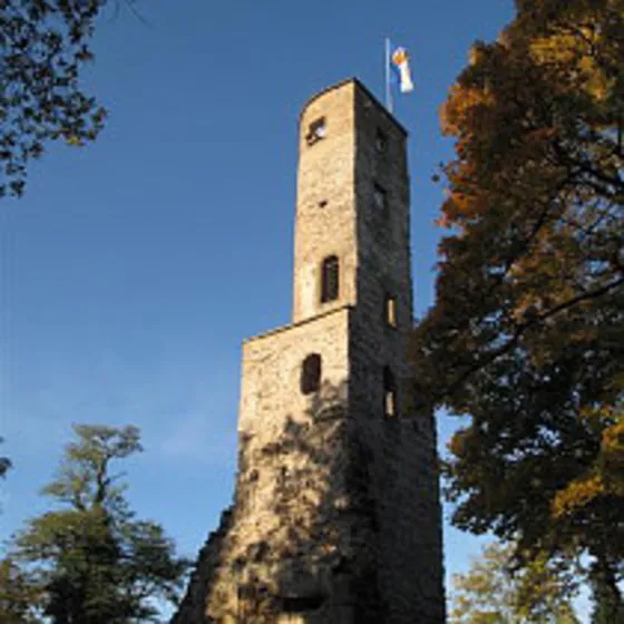 Burgruine Löwenstein