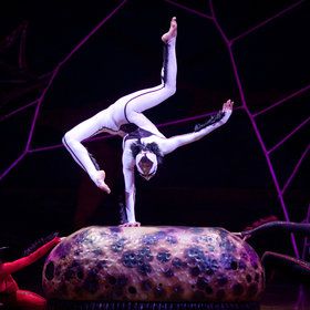 Image: Cirque du Soleil
