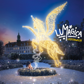 Bild: Lumagica Lichtenwalde