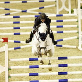 Bild: Internationales Reitturnier - German Classics