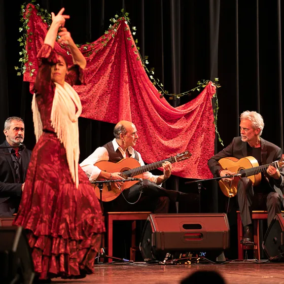 Bild: Fiesta Flamenca