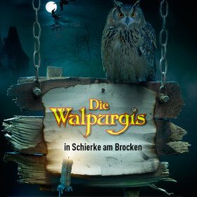 Bild: Die Walpurgis in Schierke