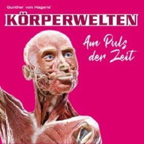 Bild: KÖRPERWELTEN Salzburg