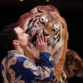 Bild: Weihnachtliche Circus-Gala