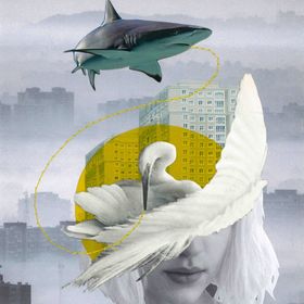 Bild: Sound of the City