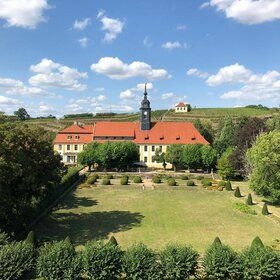 Bild: Elbtal Tours Weinbergwanderung Sachsen