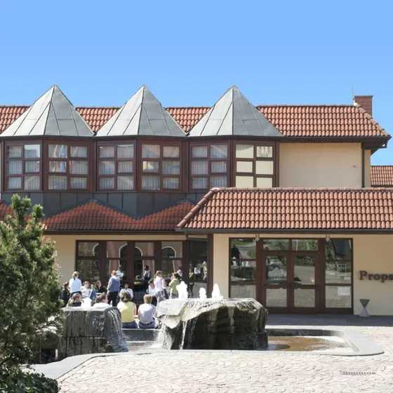 Propsteihaus Petersberg