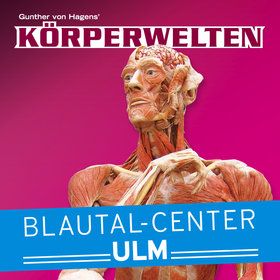 Bild: KÖRPERWELTEN Ulm
