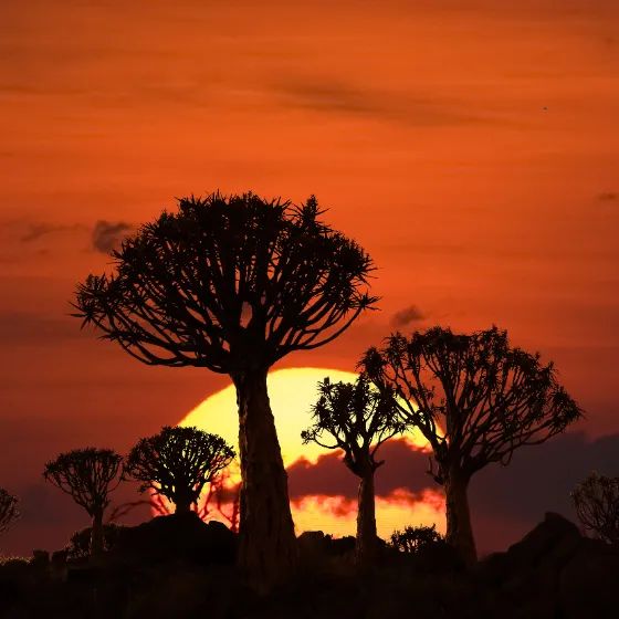 Bild: Reiner Harscher