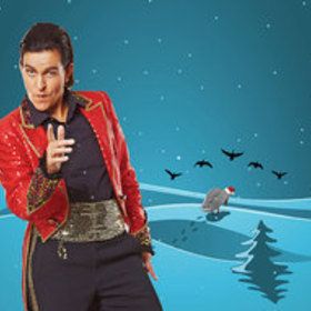 Bild: Weihnachtsgänse sterben einsam