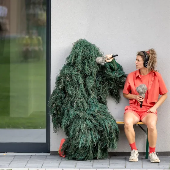 Bild: Bildstörung - Detmold