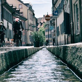 Bild: Freiburg Kultour: Schätze der Altstadt