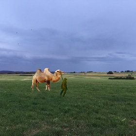 Bild: interim - Festival