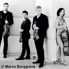 Bild: Stradivari Quartett